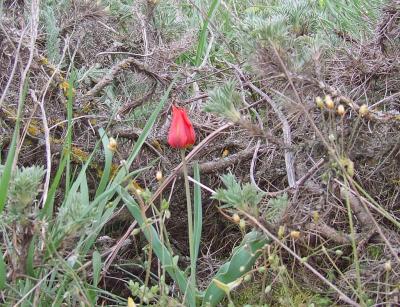 Прикрепленное изображение: 003.jpg